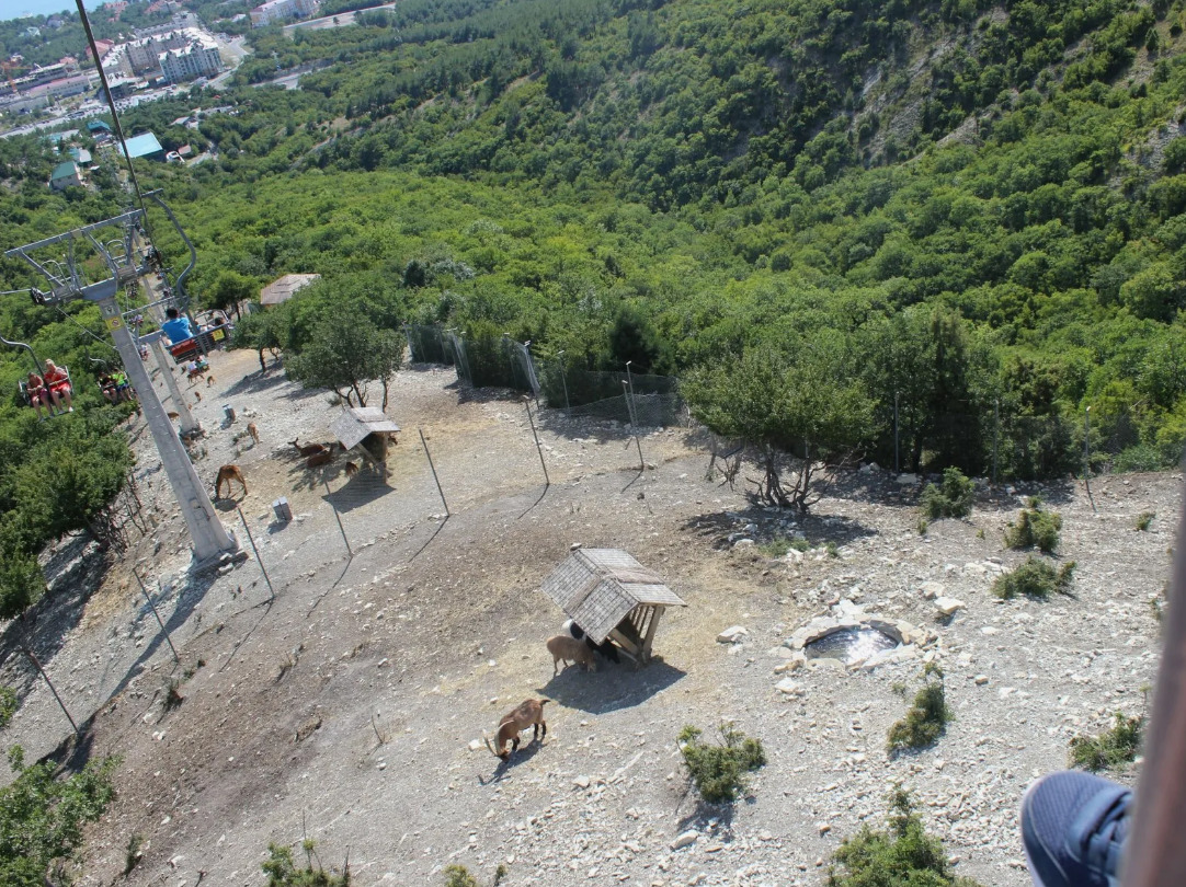 Поездка в Сафари Парк Геленджика и Канатную дорогу